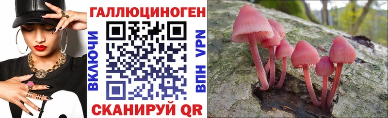 Галлюциногенные грибы GOLDEN TEACHER Новое Девяткино