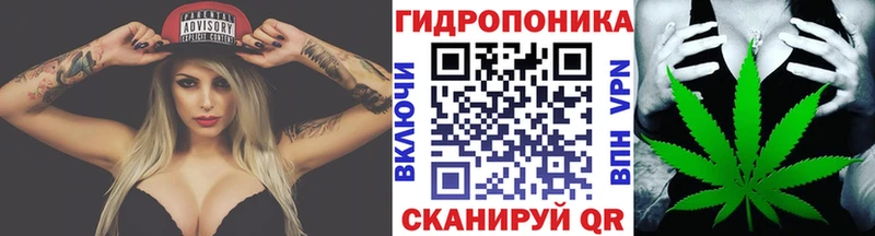Каннабис планчик  Новое Девяткино 